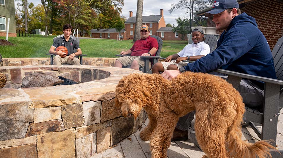 Students and a dog sitting around a firepit