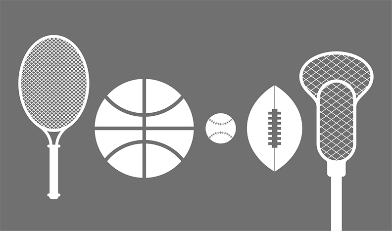 infographic of sports balls