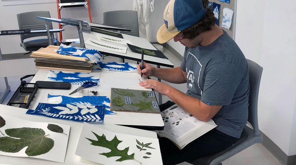 a student working with leaf cyanotypes in the art studio