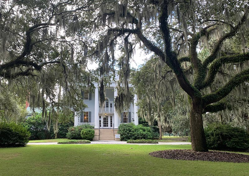 A palatial plantation estate surrounded by oaks and moss in Savannah, GA