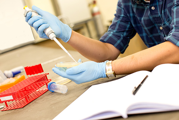 A gloved hand using a pipette in a laboratory