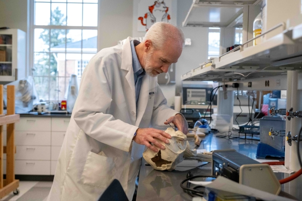 Professor Werth examining whale parts in his lab