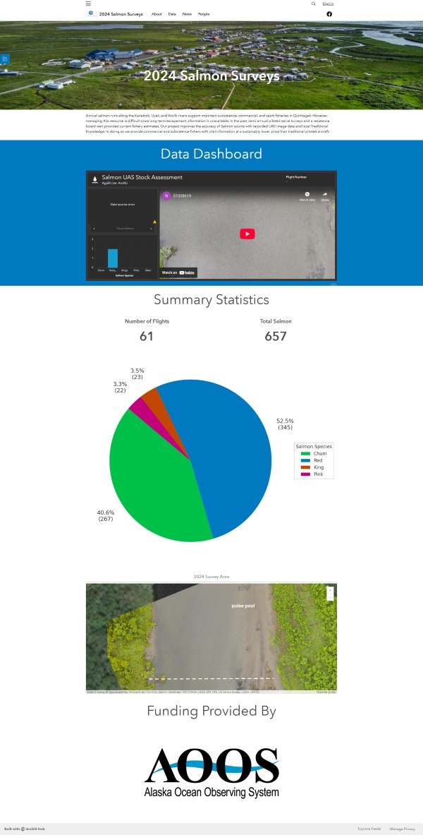 An image of the website data dashboard