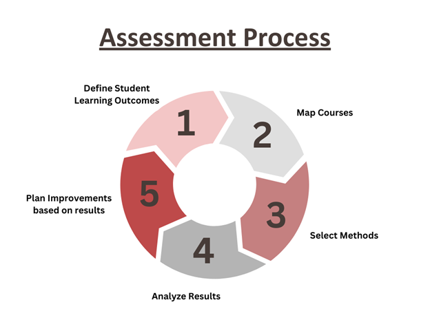 graphic circle graph about the stages of assessment